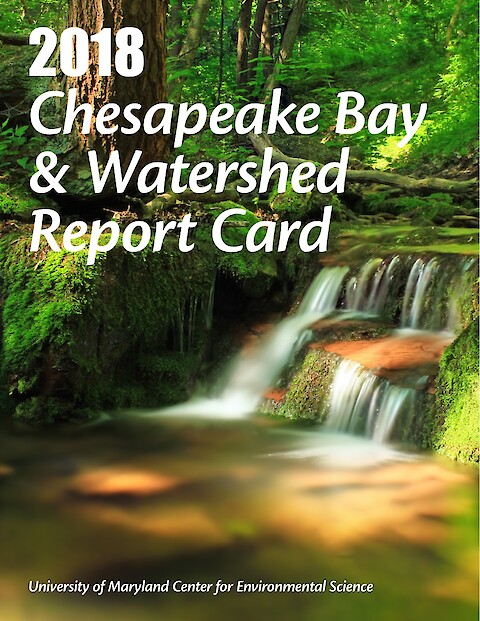 2018 Chesapeake Bay & Watershed Report Card (Page 1)