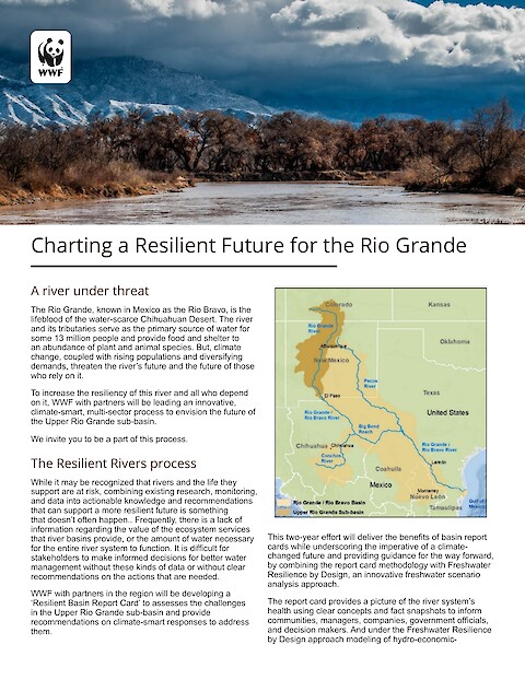 Charting a Resilient Future for the Rio Grande (Page 1)